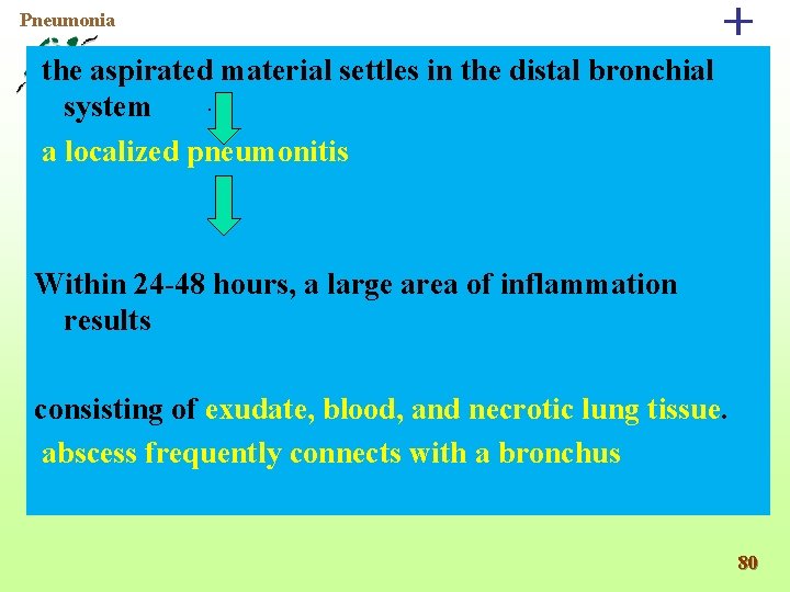 . the aspirated material settles in the distal bronchial system a localized pneumonitis +