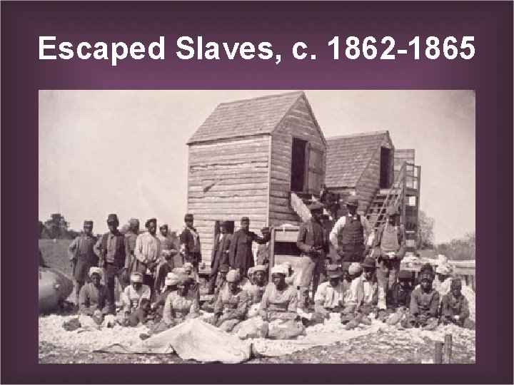 Escaped Slaves, c. 1862 -1865 