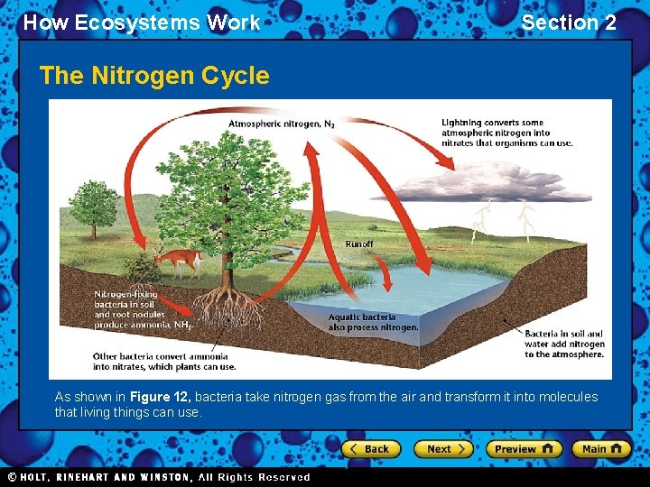 How Ecosystems Work Section 2 The Nitrogen Cycle As shown in Figure 12, bacteria