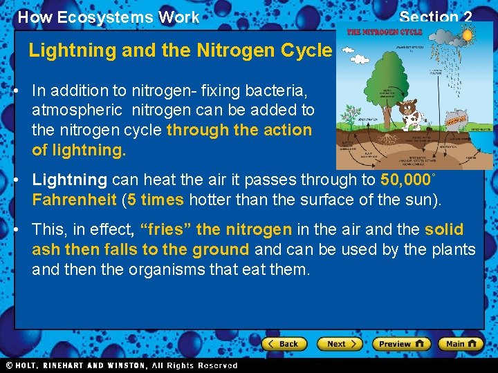 How Ecosystems Work Section 2 Lightning and the Nitrogen Cycle • In addition to