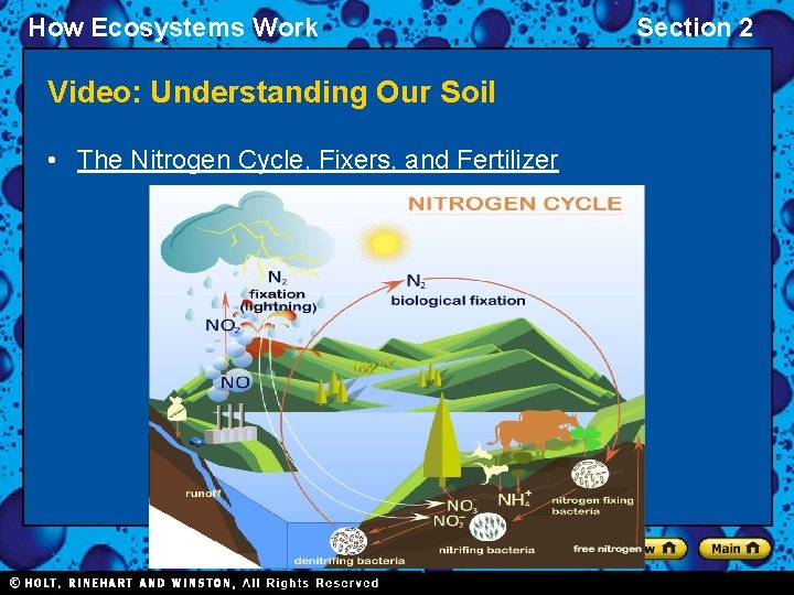 How Ecosystems Work Video: Understanding Our Soil • The Nitrogen Cycle, Fixers, and Fertilizer