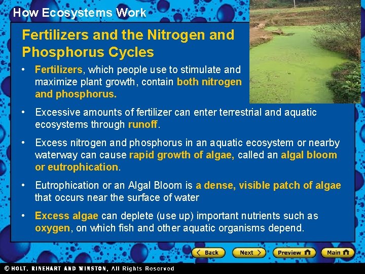 How Ecosystems Work Section 2 Fertilizers and the Nitrogen and Phosphorus Cycles • Fertilizers,