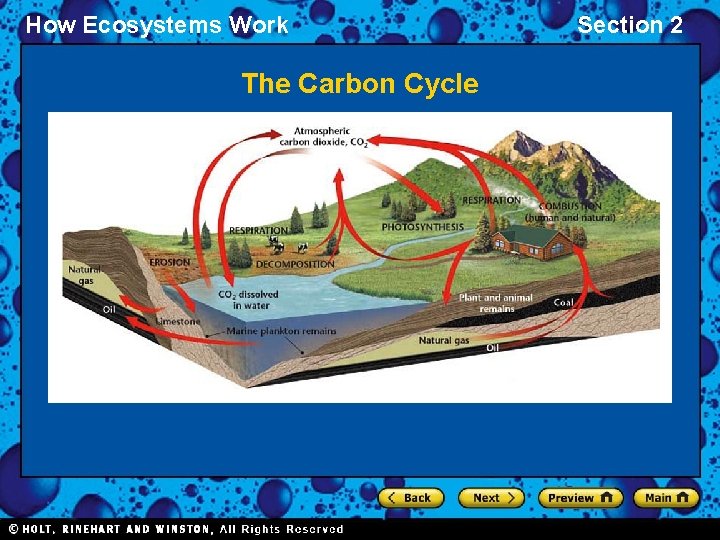 How Ecosystems Work The Carbon Cycle Section 2 