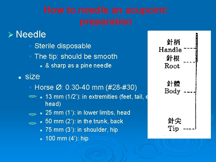 How to needle an acupoint: preparation Ø Needle • Sterile disposable • The tip: