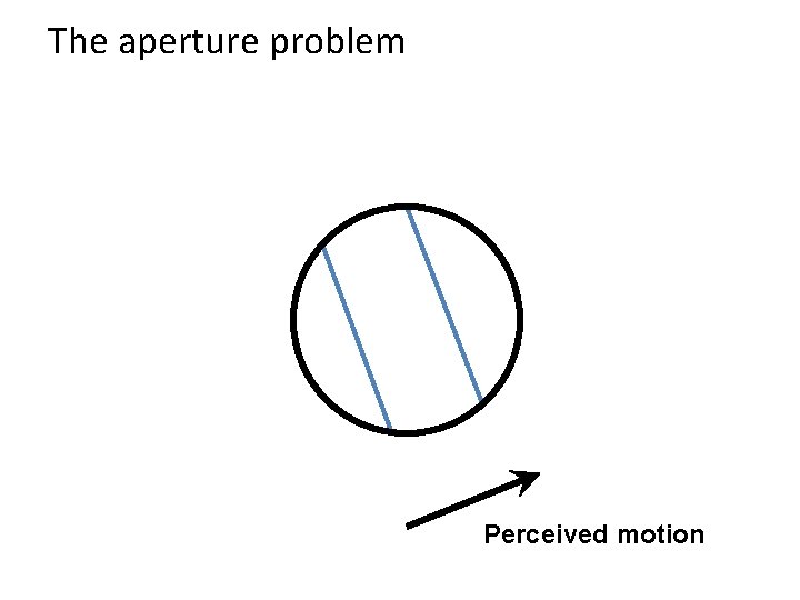 The aperture problem Perceived motion The aperture problem Perceived motion