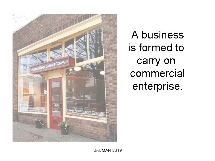 A business is formed to carry on commercial enterprise. BAUMAN 2019 