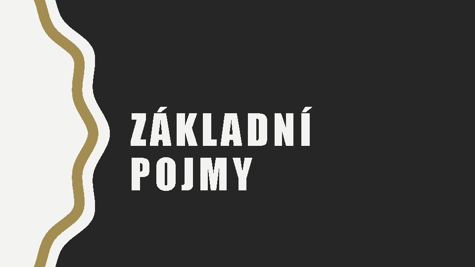 ZÁKLADNÍ POJMY 