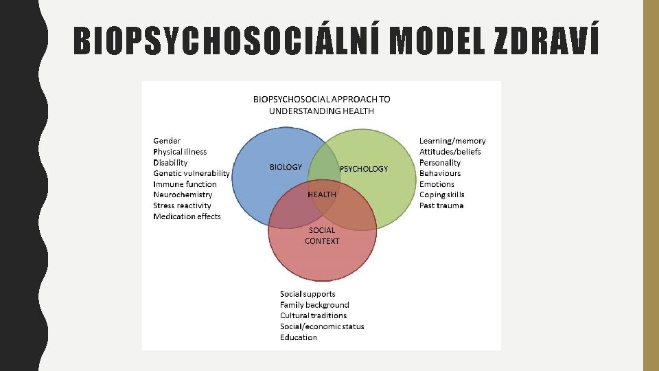 BIOPSYCHOSOCIÁLNÍ MODEL ZDRAVÍ 