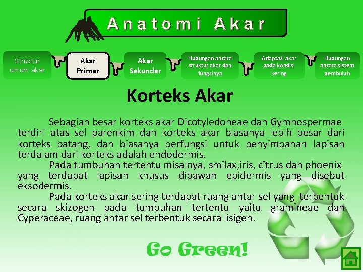 Anatomi Akar Struktur umum akar Akar Primer Akar Sekunder Hubungan antara struktur akar dan Anatomi Akar Struktur umum akar Akar Primer Akar Sekunder Hubungan antara struktur akar dan