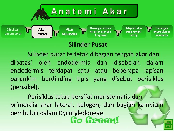 Anatomi Akar Struktur umum akar Akar Primer Akar Sekunder Hubungan antara struktur akar dan