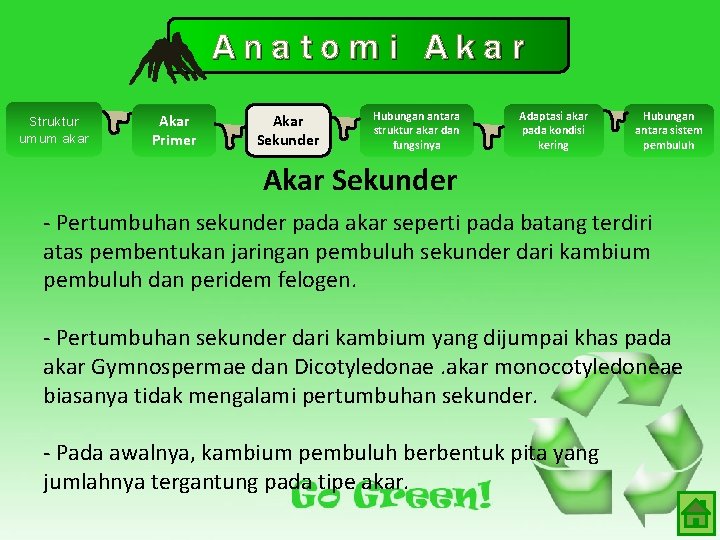 Anatomi Akar Struktur umum akar Akar Primer Akar Sekunder Hubungan antara struktur akar dan Anatomi Akar Struktur umum akar Akar Primer Akar Sekunder Hubungan antara struktur akar dan