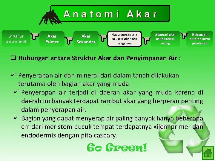 Anatomi Akar Struktur umum akar Akar Primer Akar Sekunder Hubungan antara struktur akar dan Anatomi Akar Struktur umum akar Akar Primer Akar Sekunder Hubungan antara struktur akar dan
