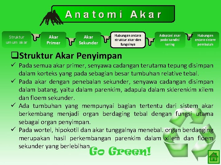 Anatomi Akar Struktur umum akar Akar Primer Akar Sekunder Hubungan antara struktur akar dan