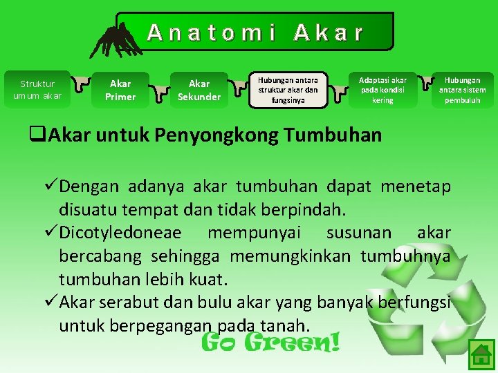 Anatomi Akar Struktur umum akar Akar Primer Akar Sekunder Hubungan antara struktur akar dan Anatomi Akar Struktur umum akar Akar Primer Akar Sekunder Hubungan antara struktur akar dan