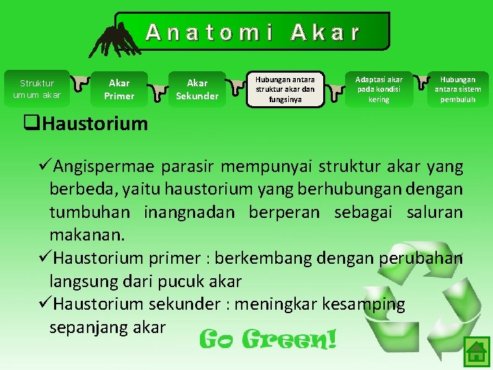 Anatomi Akar Struktur umum akar Akar Primer Akar Sekunder Hubungan antara struktur akar dan