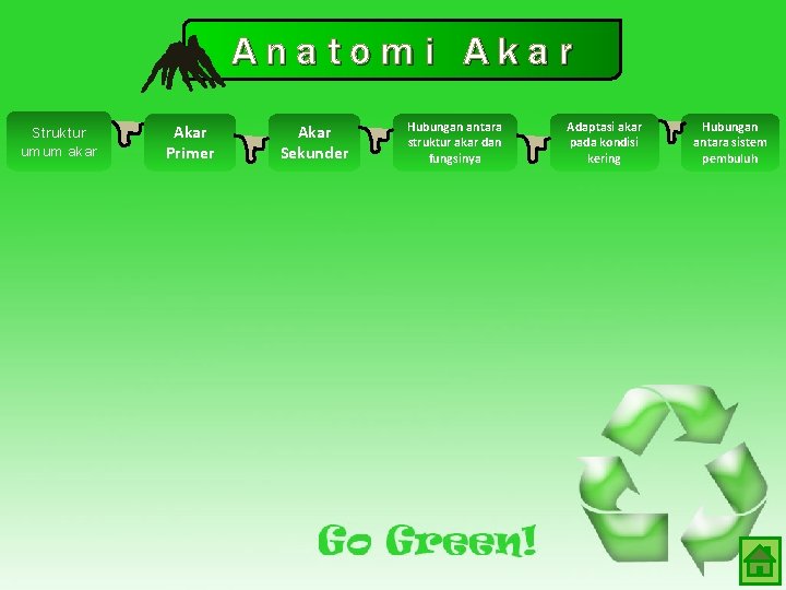 Anatomi Akar Struktur umum akar Akar Primer Akar Sekunder Hubungan antara struktur akar dan Anatomi Akar Struktur umum akar Akar Primer Akar Sekunder Hubungan antara struktur akar dan