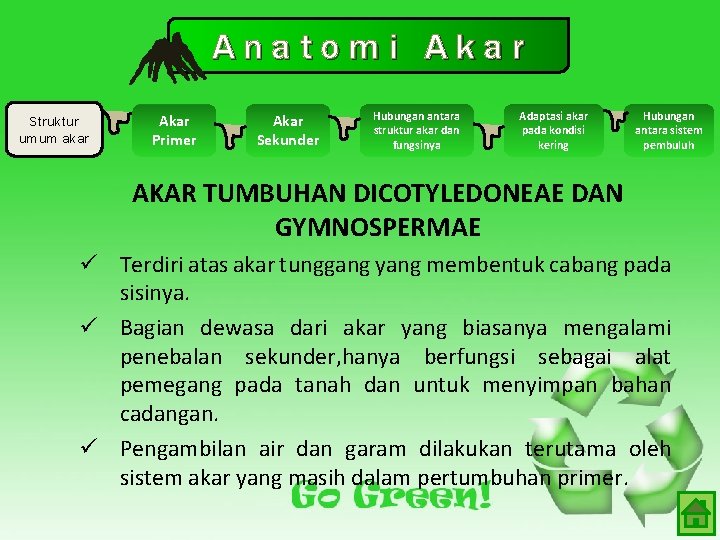 Anatomi Akar Struktur umum akar Akar Primer Akar Sekunder Hubungan antara struktur akar dan Anatomi Akar Struktur umum akar Akar Primer Akar Sekunder Hubungan antara struktur akar dan