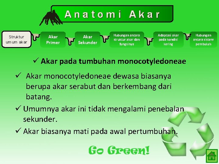 Anatomi Akar Struktur umum akar Akar Primer Akar Sekunder Hubungan antara struktur akar dan Anatomi Akar Struktur umum akar Akar Primer Akar Sekunder Hubungan antara struktur akar dan