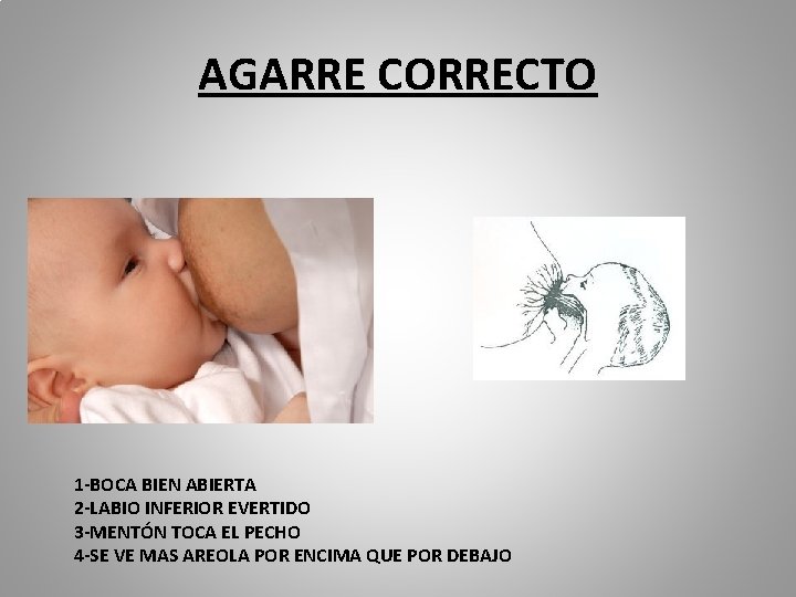 AGARRE CORRECTO 1 -BOCA BIEN ABIERTA 2 -LABIO INFERIOR EVERTIDO 3 -MENTÓN TOCA EL