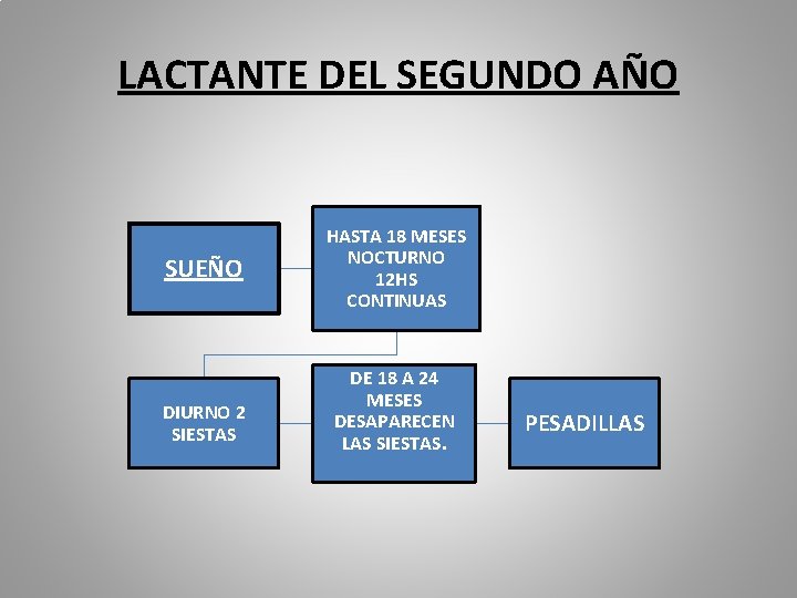 LACTANTE DEL SEGUNDO AÑO SUEÑO DIURNO 2 SIESTAS HASTA 18 MESES NOCTURNO 12 HS