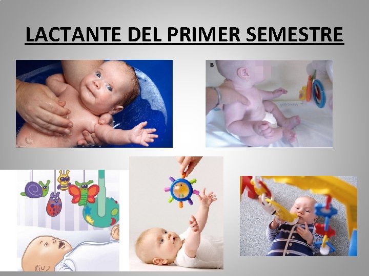 LACTANTE DEL PRIMER SEMESTRE 