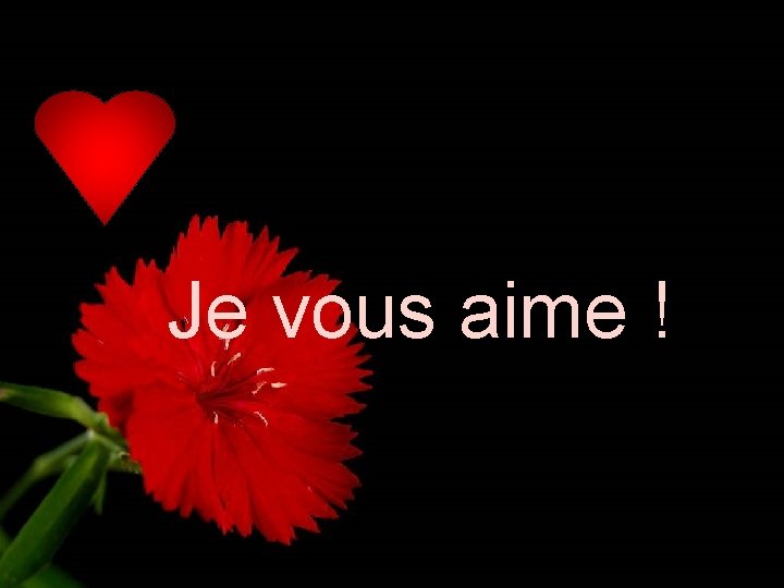 Je vous aime ! 