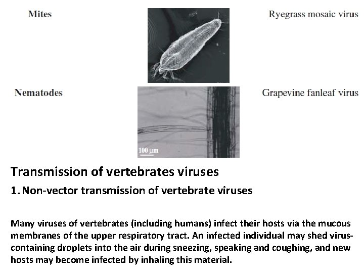 Transmission of vertebrates viruses 1. Non-vector transmission of vertebrate viruses Many viruses of vertebrates