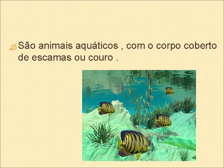  São animais aquáticos , com o corpo coberto de escamas ou couro. 