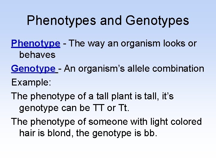 Phenotypes and Genotypes Phenotype - The way an organism looks or behaves Genotype -