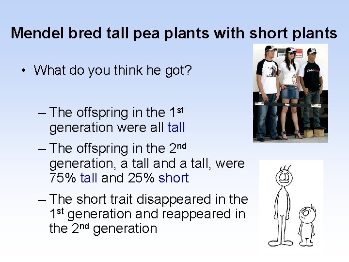 Mendel bred tall pea plants with short plants • What do you think he