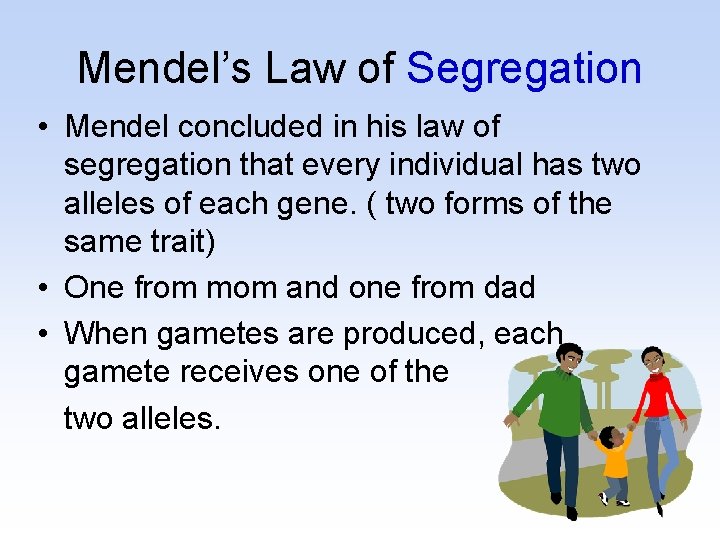 Mendel’s Law of Segregation • Mendel concluded in his law of segregation that every