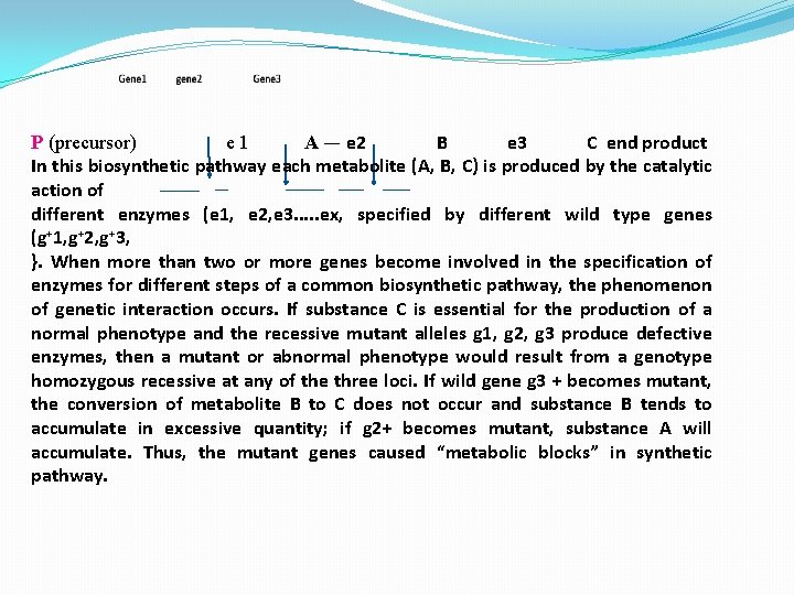 P (precursor) e 1 A — e 2 B e 3 C end product