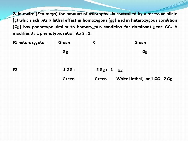 2. In maize (Zea mays) the amount of chlorophyll is controlled by a recessive
