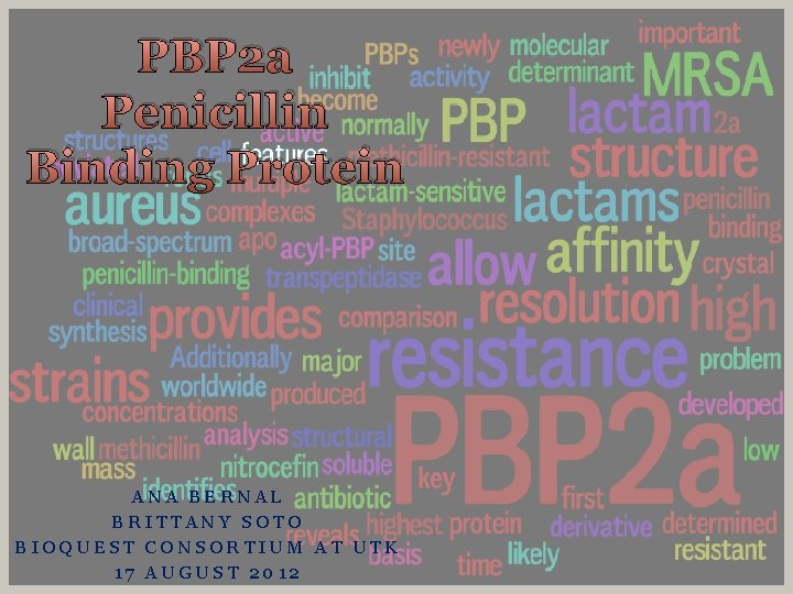 PBP 2 a Penicillin Binding Protein ANA BERNAL BRITTANY SOTO BIOQUEST CONSORTIUM AT UTK