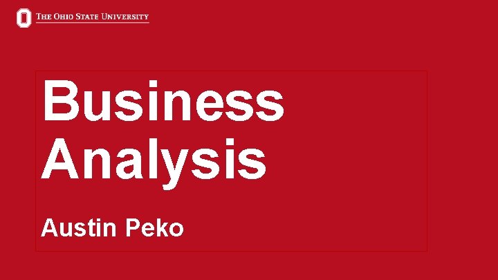 Business Analysis Austin Peko 8 
