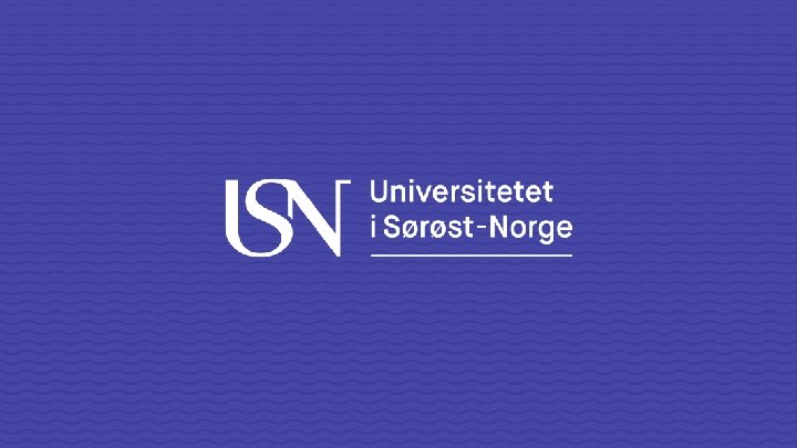 INNLEGG-KOMPETANSEHEVINGSPROGRAM-Programkoordinator-USN -Førstelektor Karin Berntsen-sept-2019 