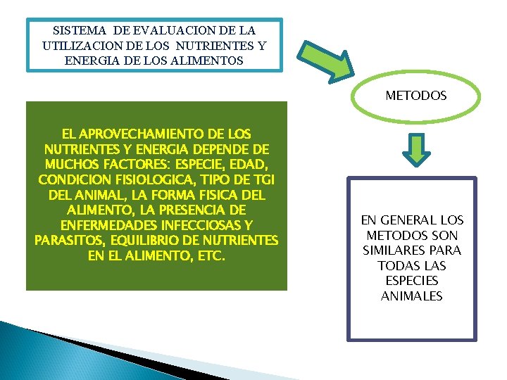SISTEMA DE EVALUACION DE LA UTILIZACION DE LOS NUTRIENTES Y ENERGIA DE LOS ALIMENTOS