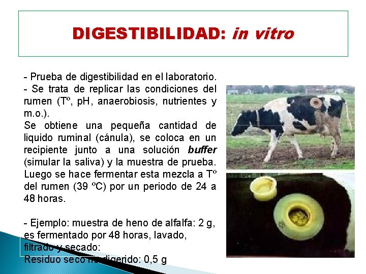 DIGESTIBILIDAD: in vitro - Prueba de digestibilidad en el laboratorio. - Se trata de