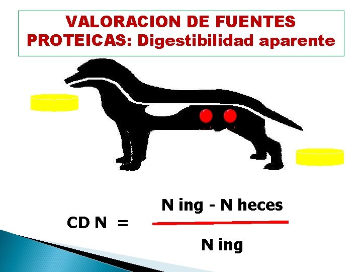 VALORACION DE FUENTES Digestibilidad de la proteína PROTEICAS: Digestibilidad aparente CD N = N