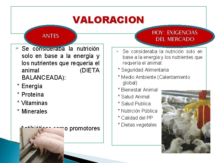 VALORACION HOY: EXIGENCIAS DEL MERCADO ANTES Se consideraba la nutrición solo en base a