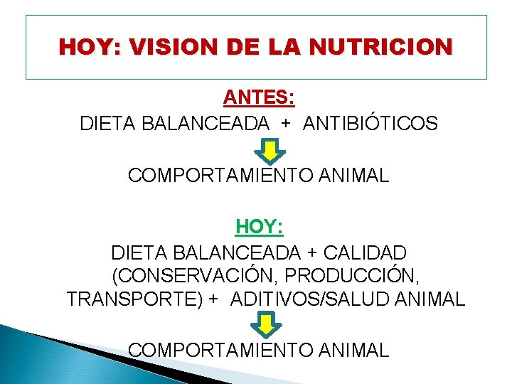 HOY: VISION DE LA NUTRICION ANTES: DIETA BALANCEADA + ANTIBIÓTICOS COMPORTAMIENTO ANIMAL HOY: DIETA