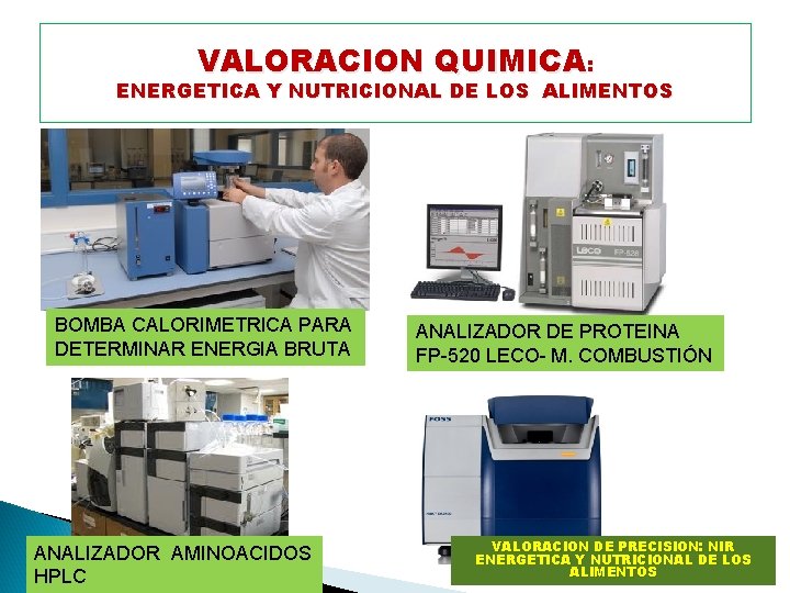 VALORACION QUIMICA: ENERGETICA Y NUTRICIONAL DE LOS ALIMENTOS BOMBA CALORIMETRICA PARA DETERMINAR ENERGIA BRUTA