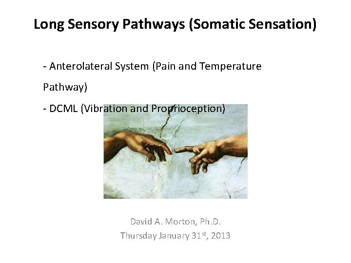 Long Sensory Pathways (Somatic Sensation) - Anterolateral System (Pain and Temperature Pathway) - DCML