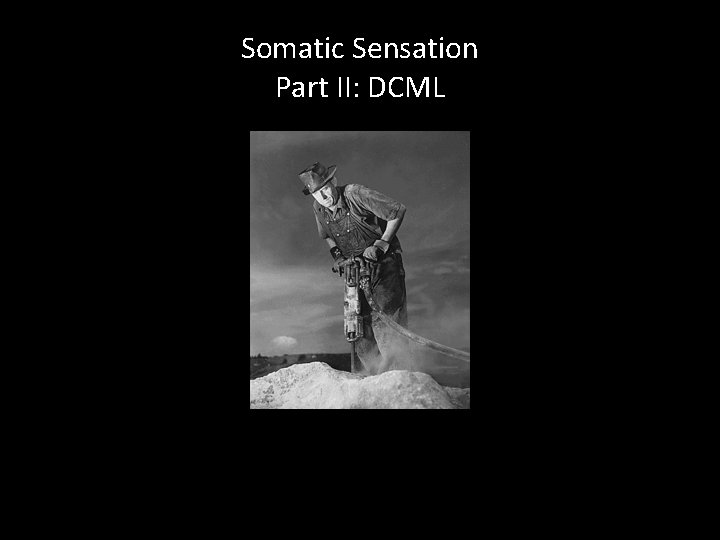 Somatic Sensation Part II: DCML 
