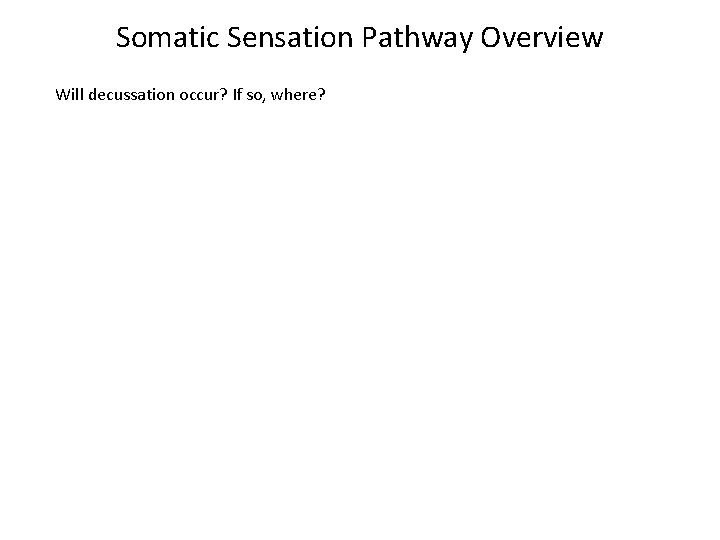 Somatic Sensation Pathway Overview Will decussation occur? If so, where? 