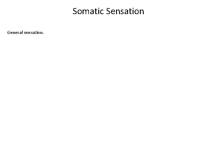 Somatic Sensation General sensation. 