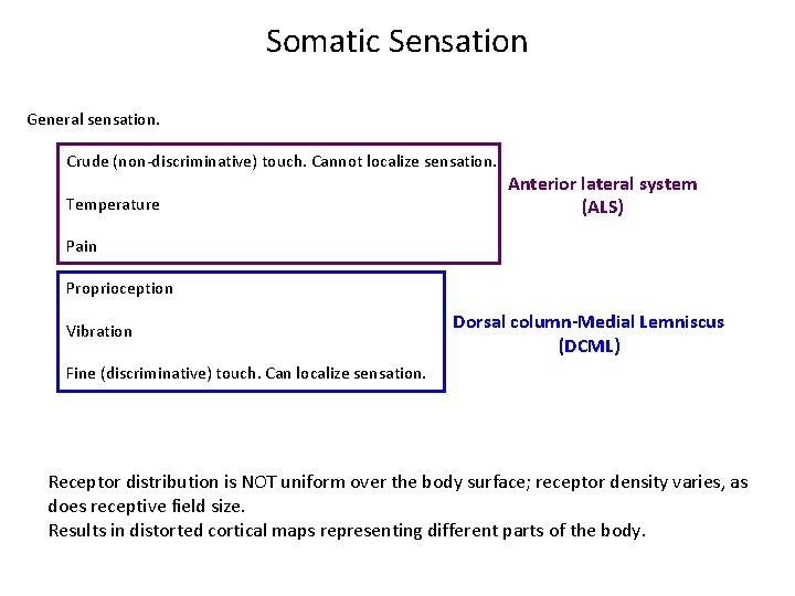 Somatic Sensation General sensation. Crude (non-discriminative) touch. Cannot localize sensation. Temperature Anterior lateral system