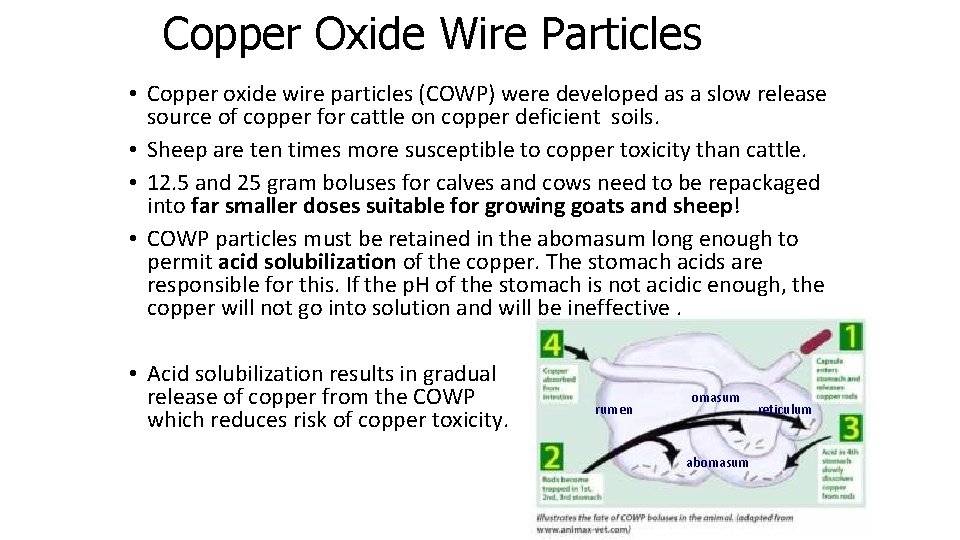 Copper Oxide Wire Particles • Copper oxide wire particles (COWP) were developed as a
