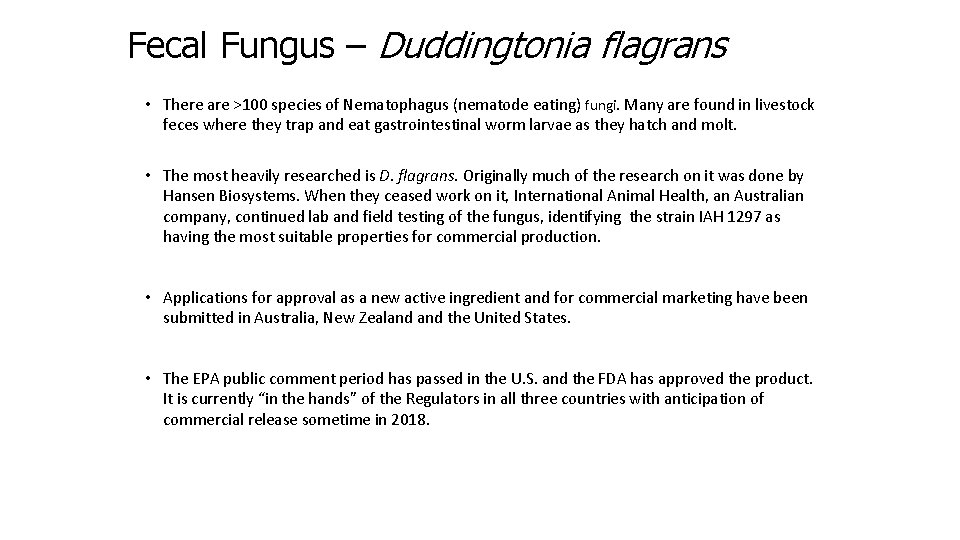 Fecal Fungus – Duddingtonia flagrans • There are >100 species of Nematophagus (nematode eating)