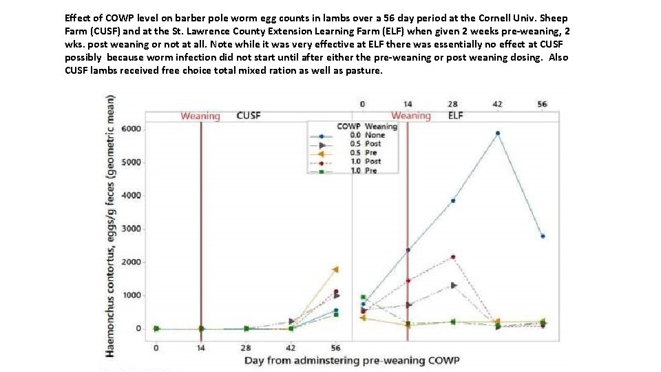 Effect of COWP level on barber pole worm egg counts in lambs over a